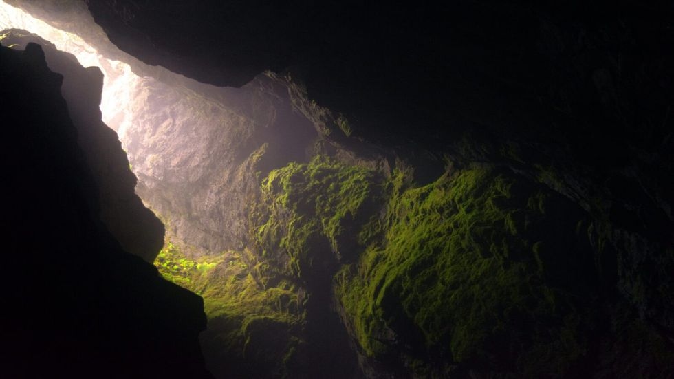 a dark cave with green moss