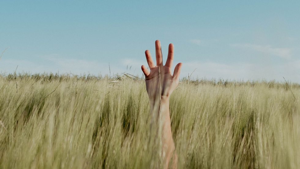 person's hand seen through blades of grass