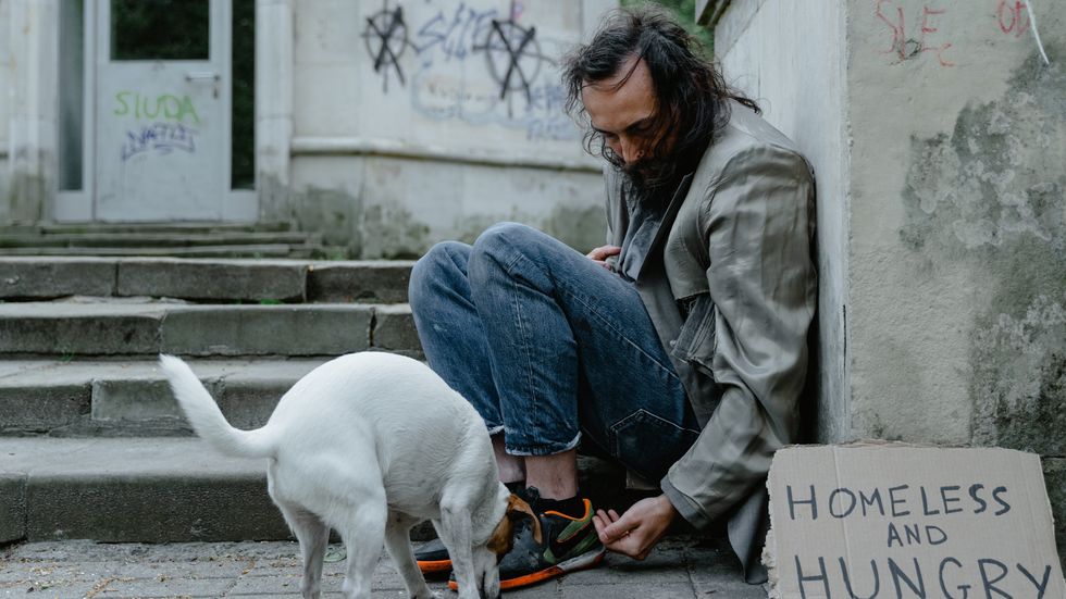 homeless man playing with a cat